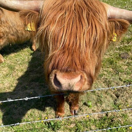 Ardconnel Bed And Breakfast Kirkwall Luaran gambar